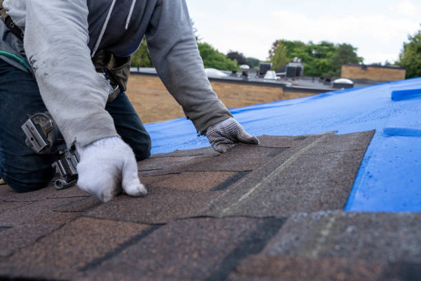 Best Roof Repair Services  in Hunter, OH