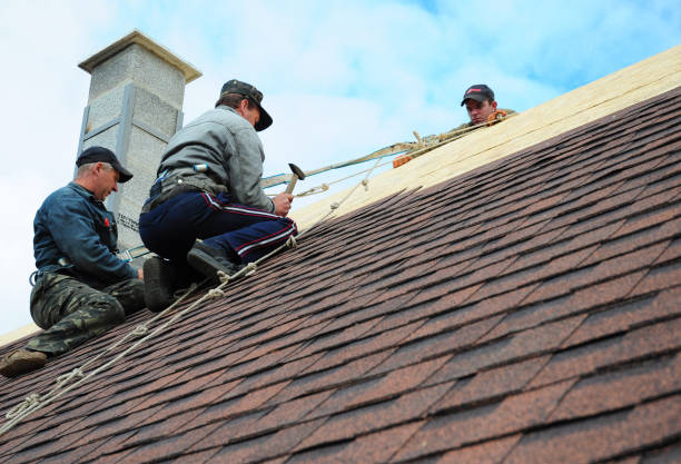 Best Roof Restoration Services  in Hunter, OH